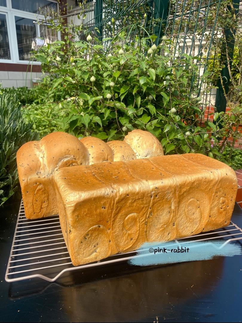 风炉版全麦吐司（附高比克打面笔记）by pink-rabbit