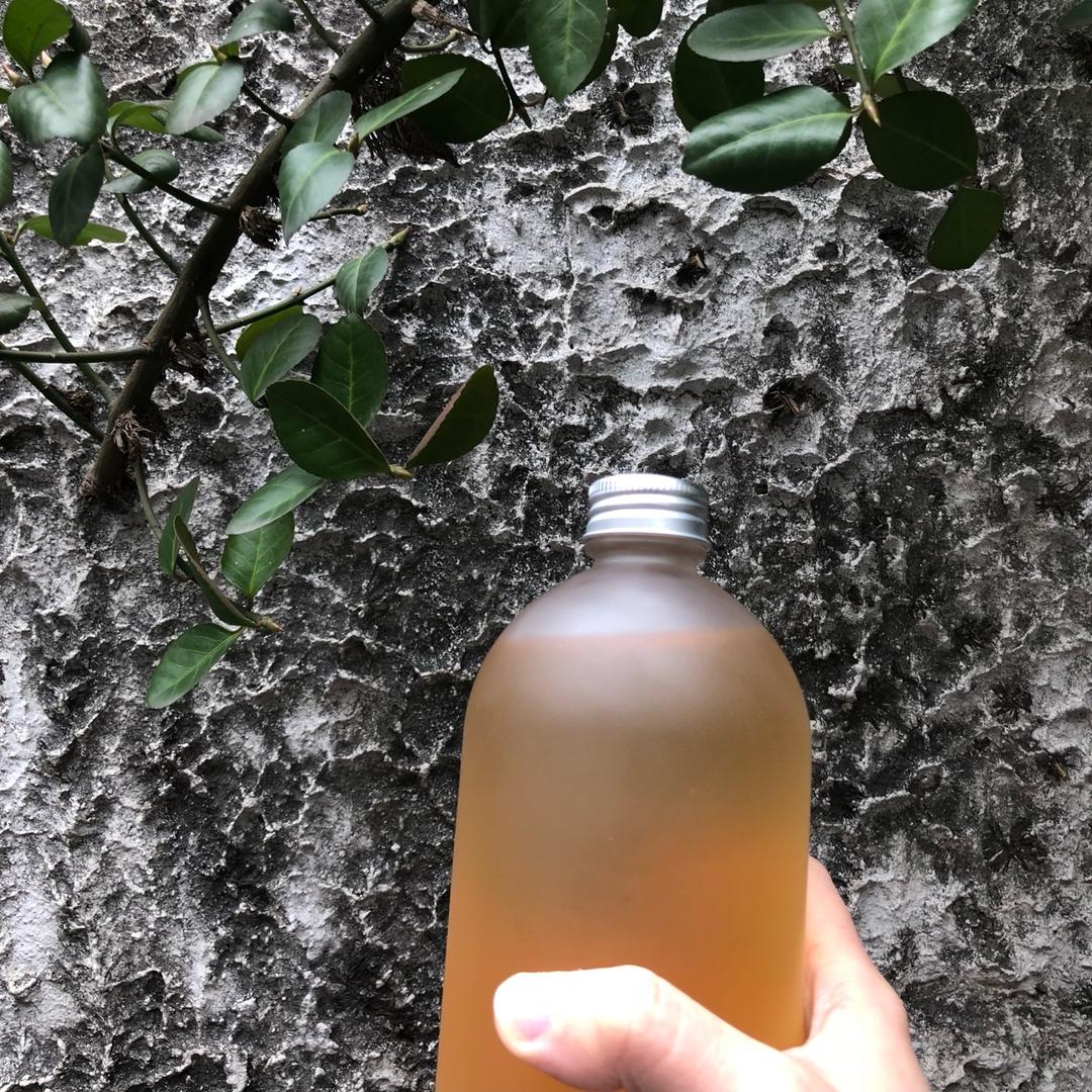 康普茶/红茶菌 Kombucha