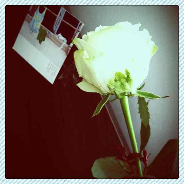 手机用户8996_u6cg