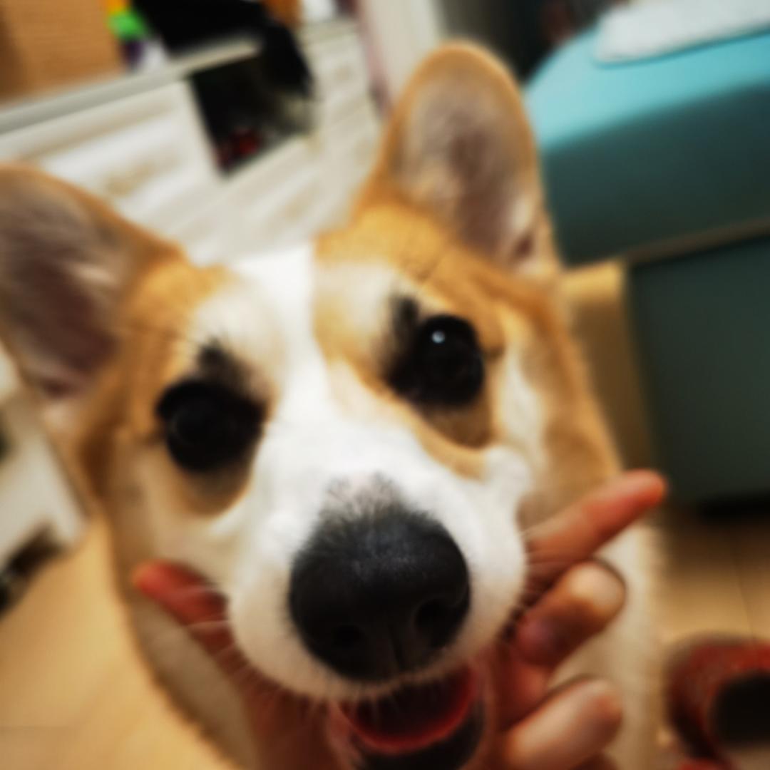 圆圆小灶