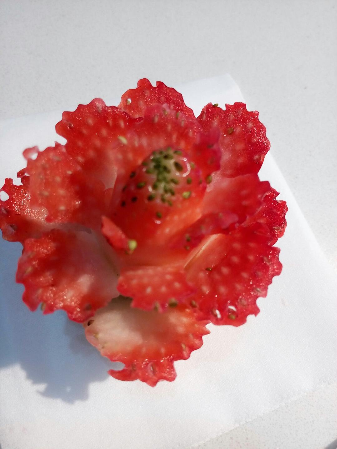 玫瑰花草莓