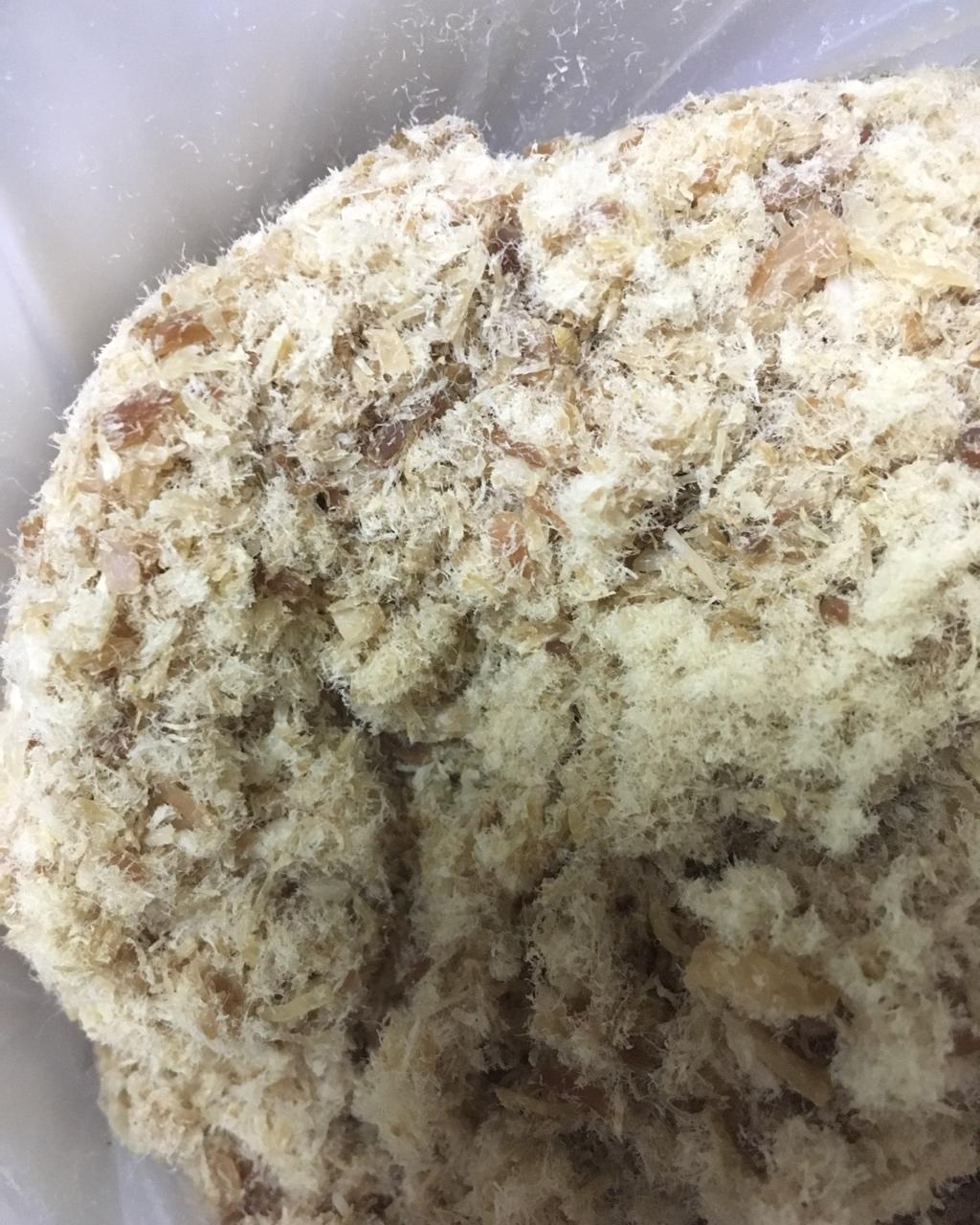 自制婴儿辅食猪肉松（7-12个月）
