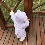 小猴踢踢