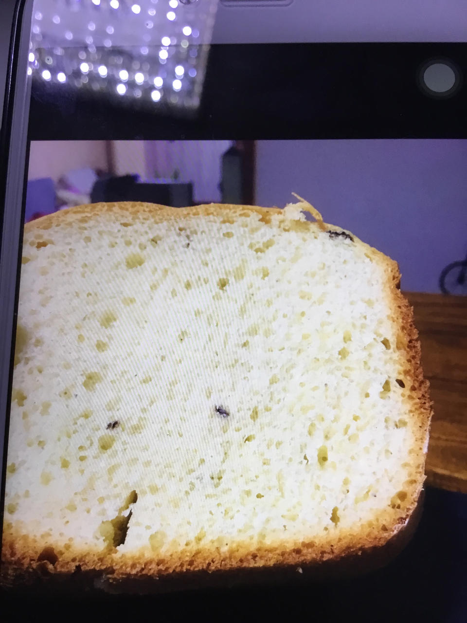 东菱面包机做松软拉丝面包