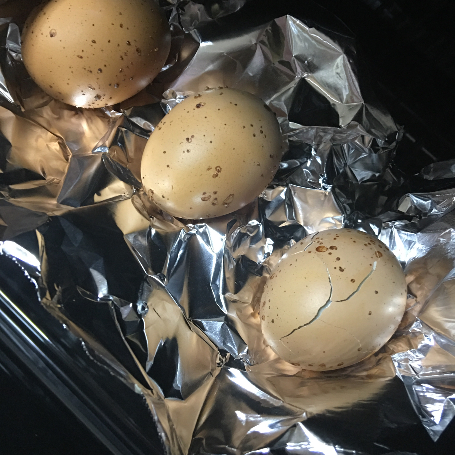 疯狗丧犬做的烤鸡蛋