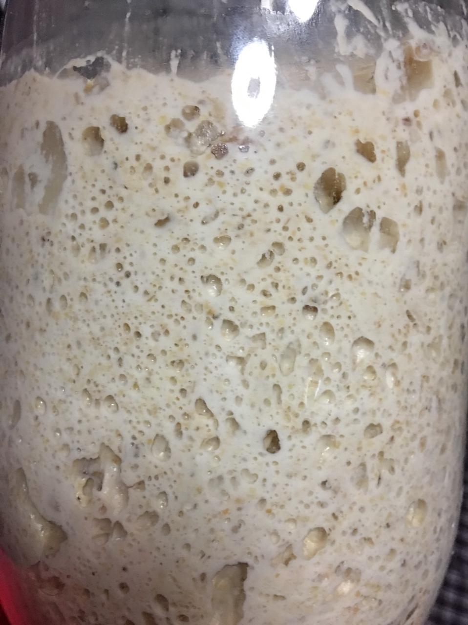 天然酵母宝宝养成记