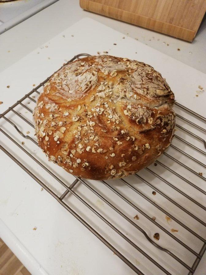 欧包/乡村面包-无油不用揉 No Knead Bread