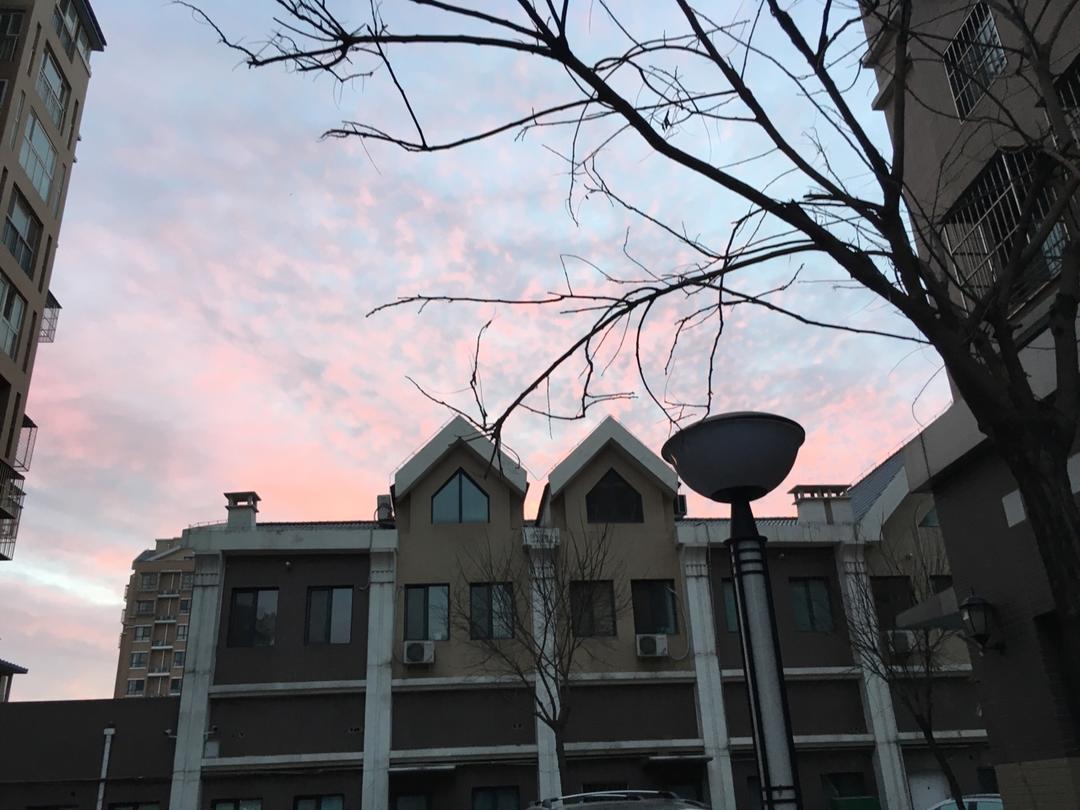 小花和油帅帅g
