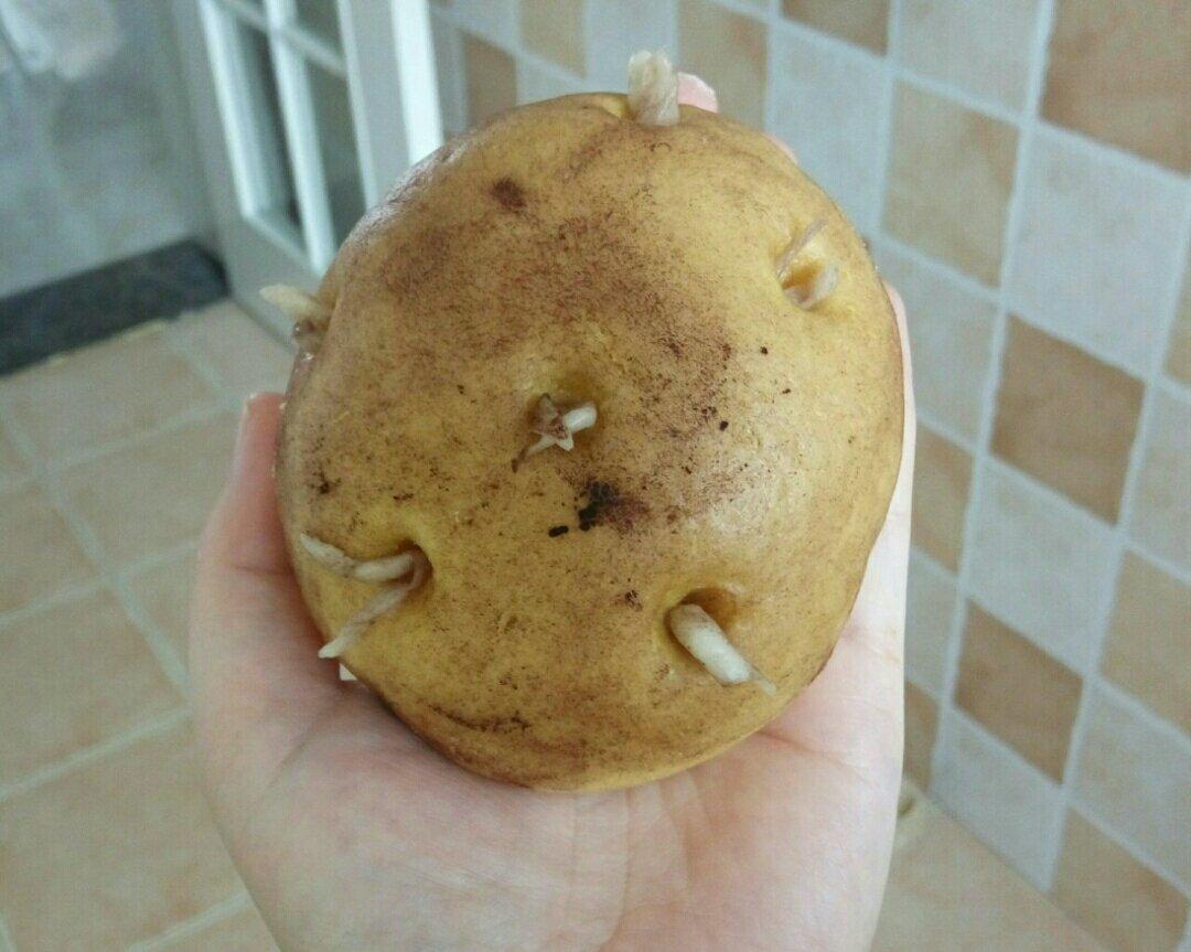(土豆)馒头