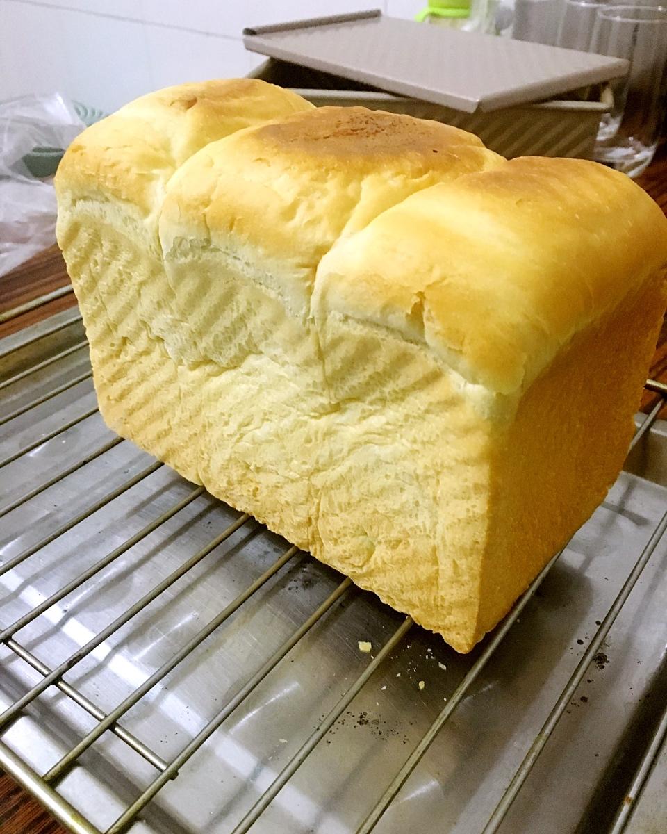 夺命软吐司(๑´ڡ`๑)超软拉丝极速方便的一次发酵吐司