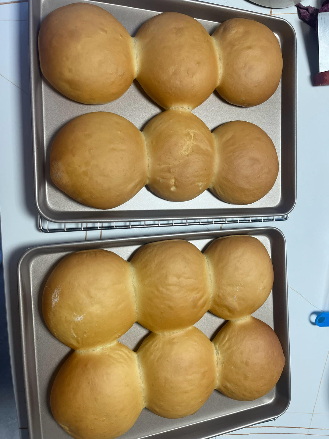 做了10000个汉堡胚后，我来教你最简单的做法