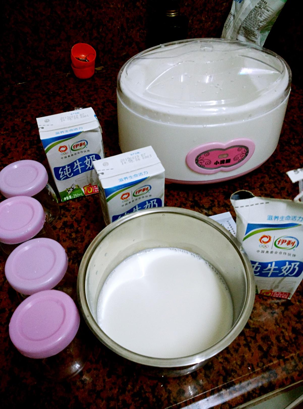 酸奶机制作酸奶