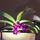 敏敏妈妈的餐桌