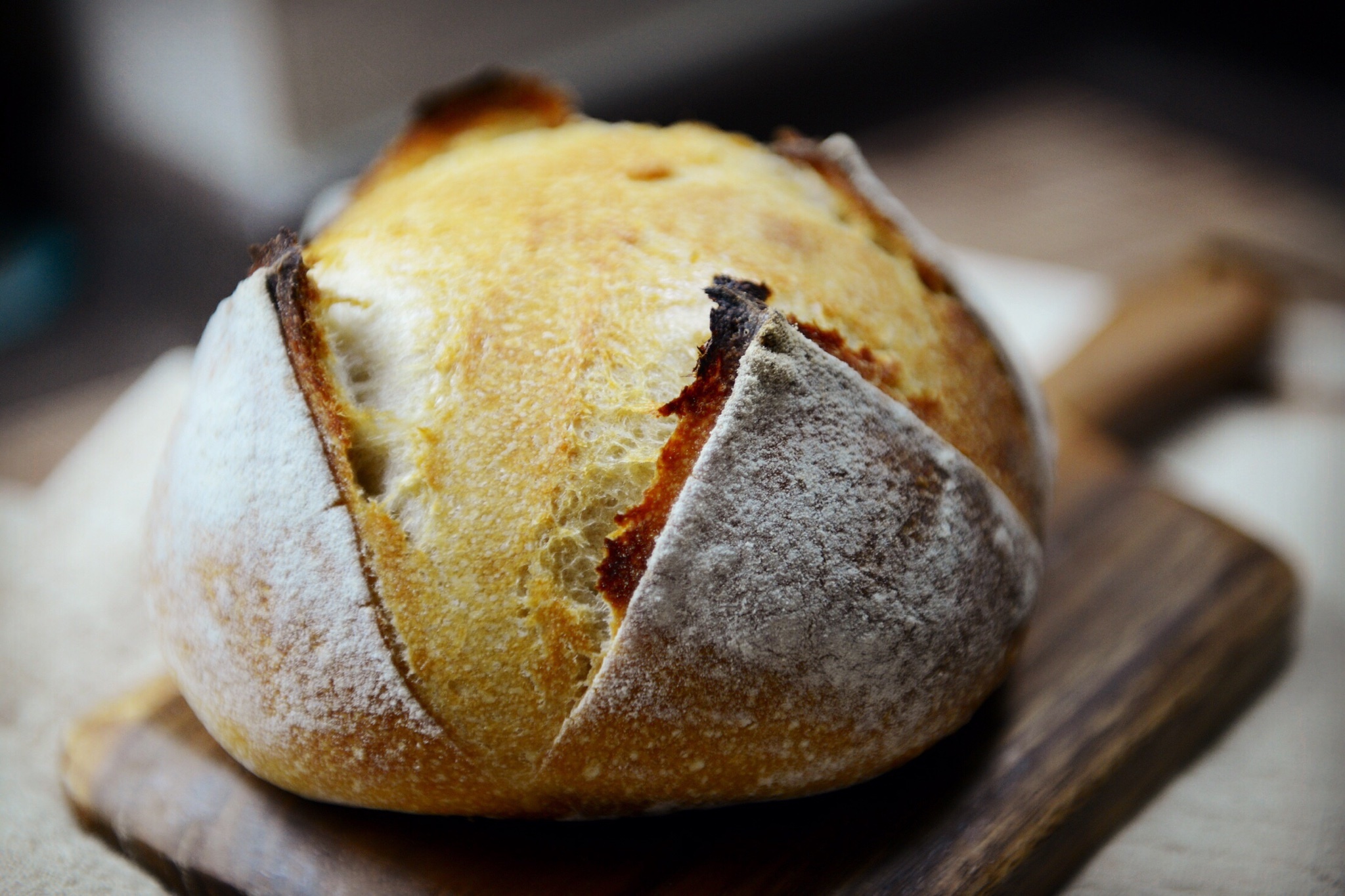 《割口发烧友的面包》—— 松软的自制酵母乡村面包（70%酵种 1）的做法