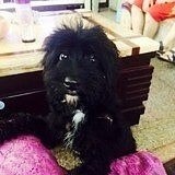 乐妈de小厨房