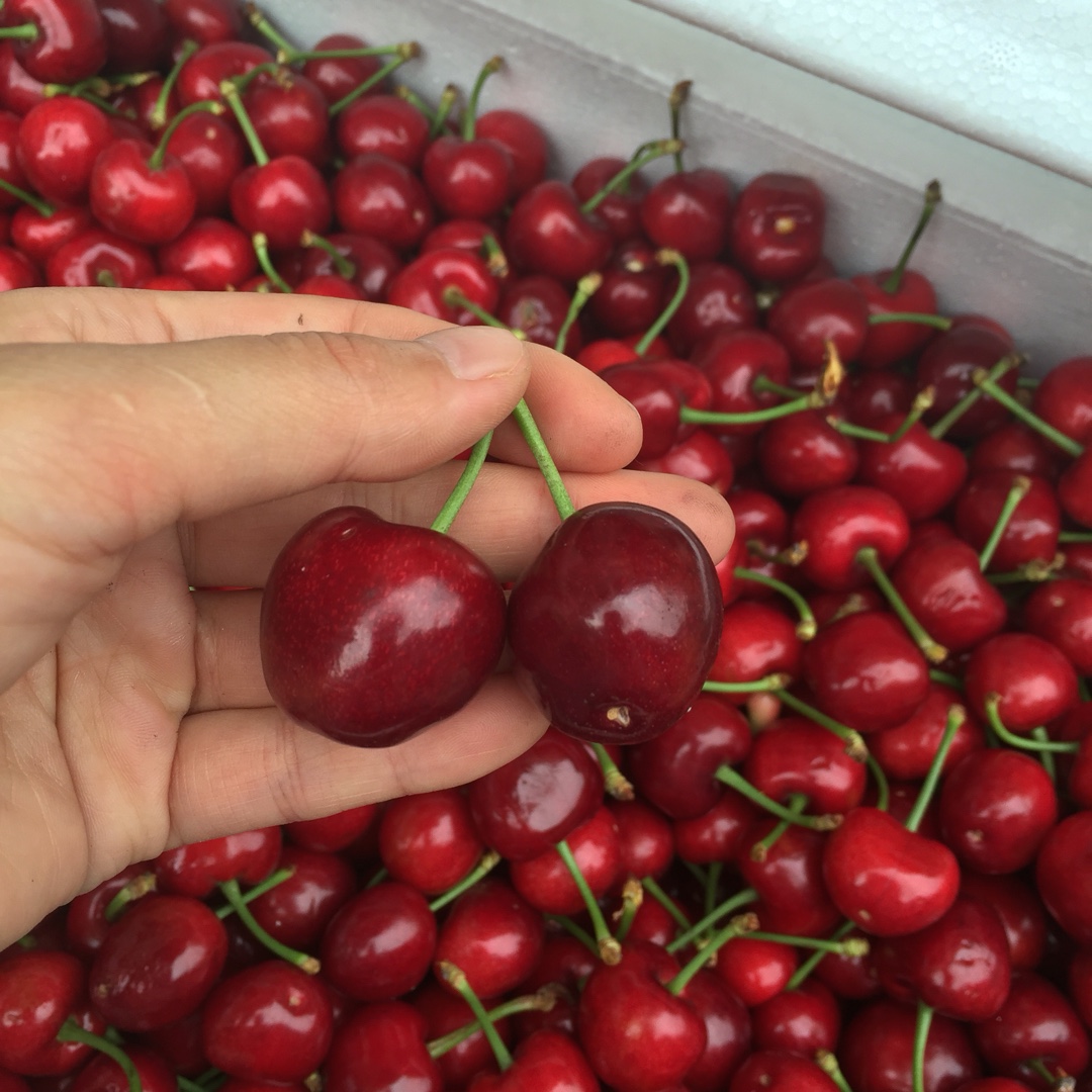 浅浅的，爱你很久…