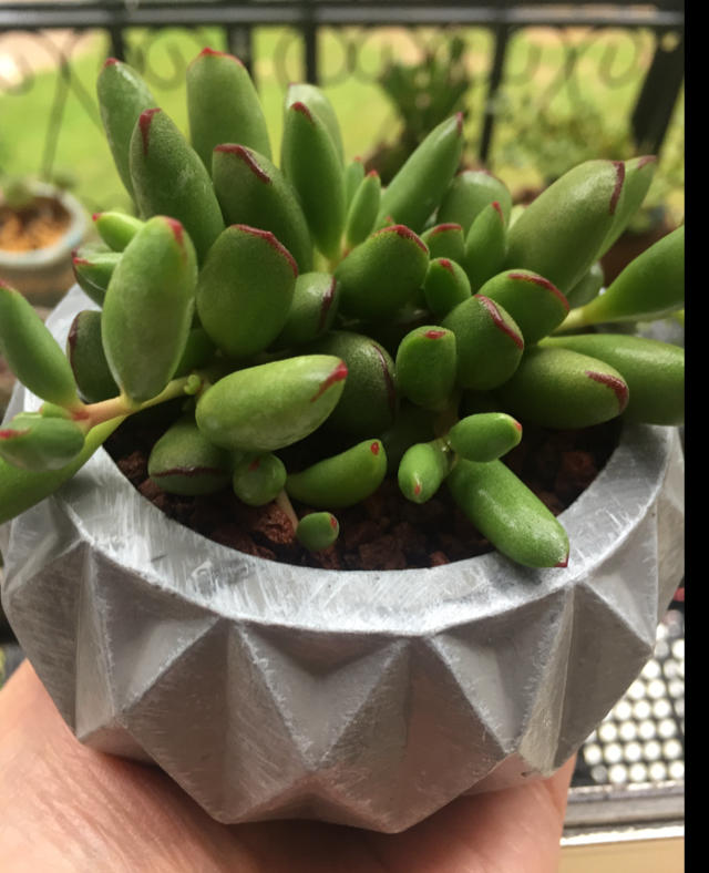 早餐•2018年10月23日