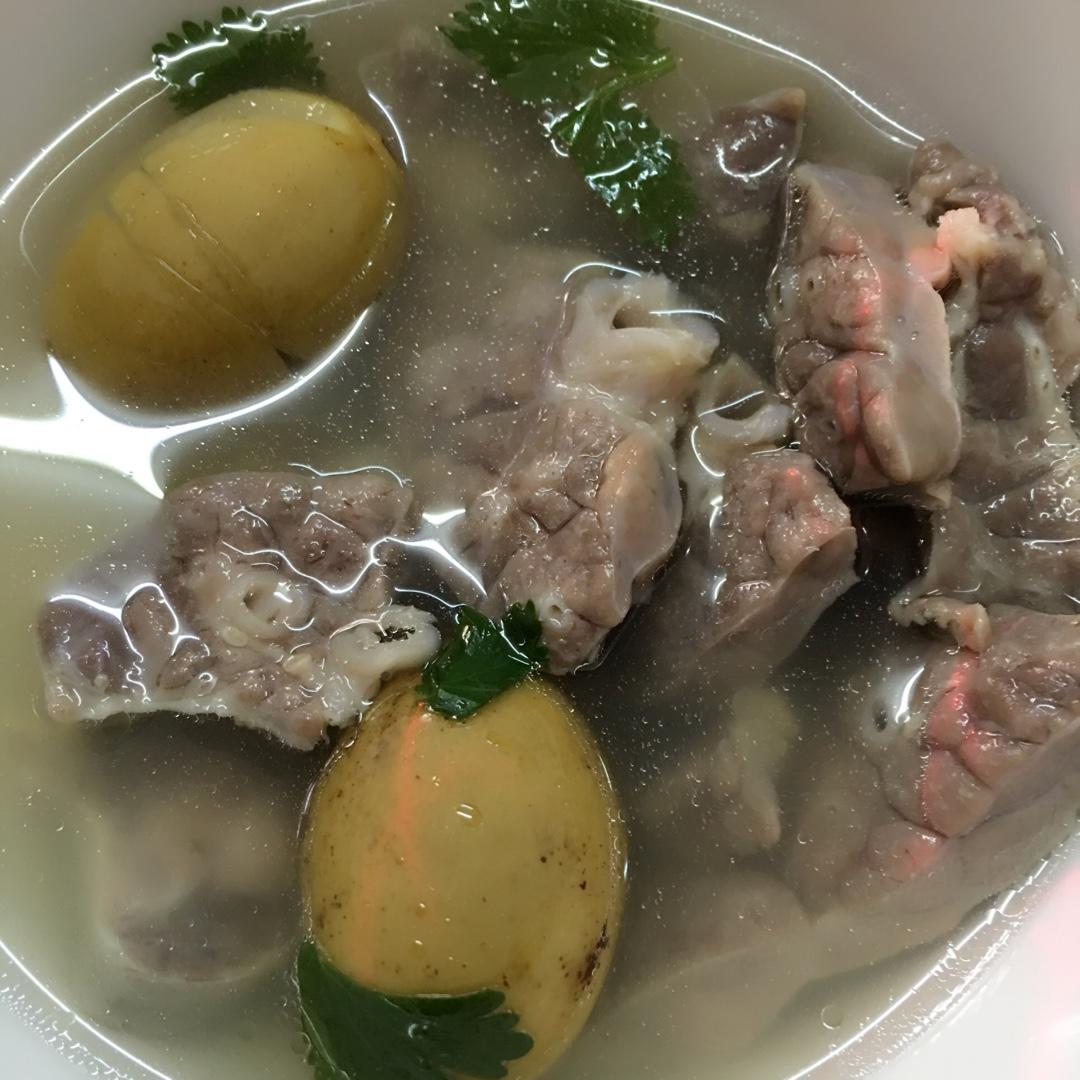 派多乐女神榨汁杯纯姐做的猪肺橄榄清肺汤