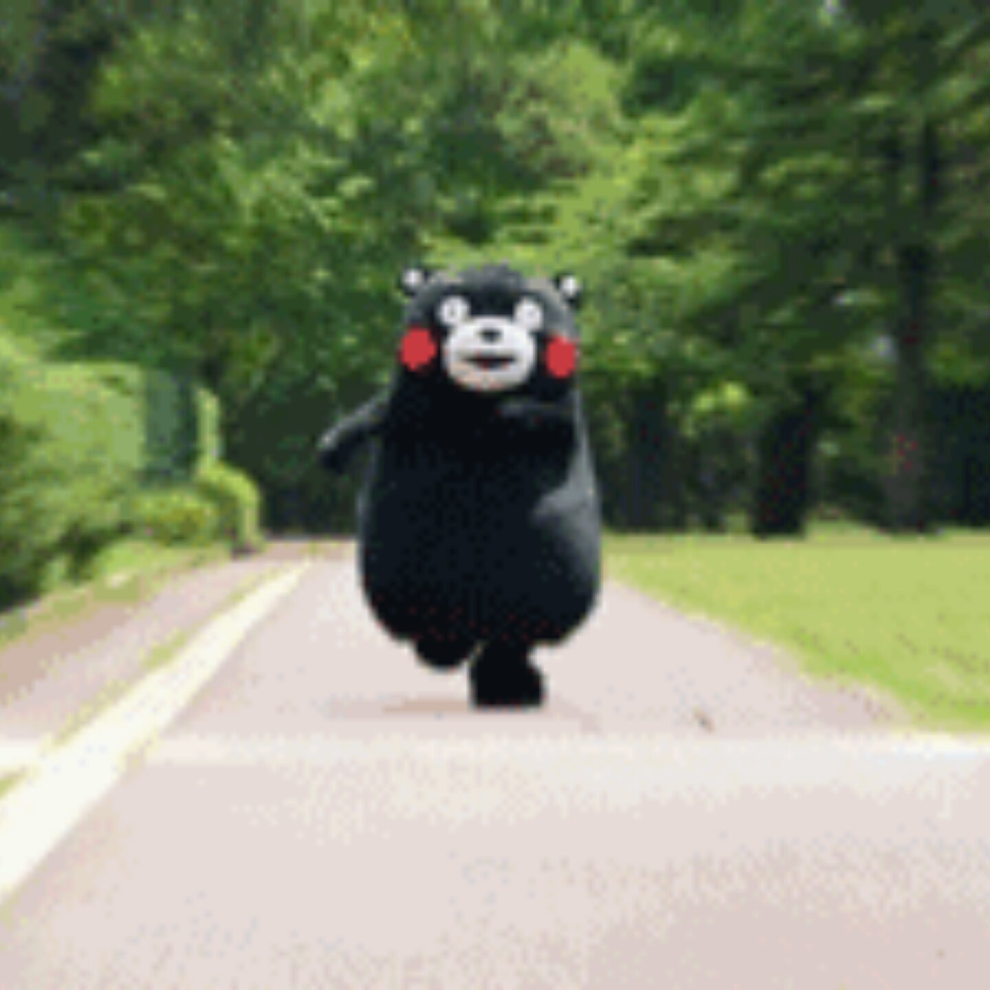 海姐造梦工厂