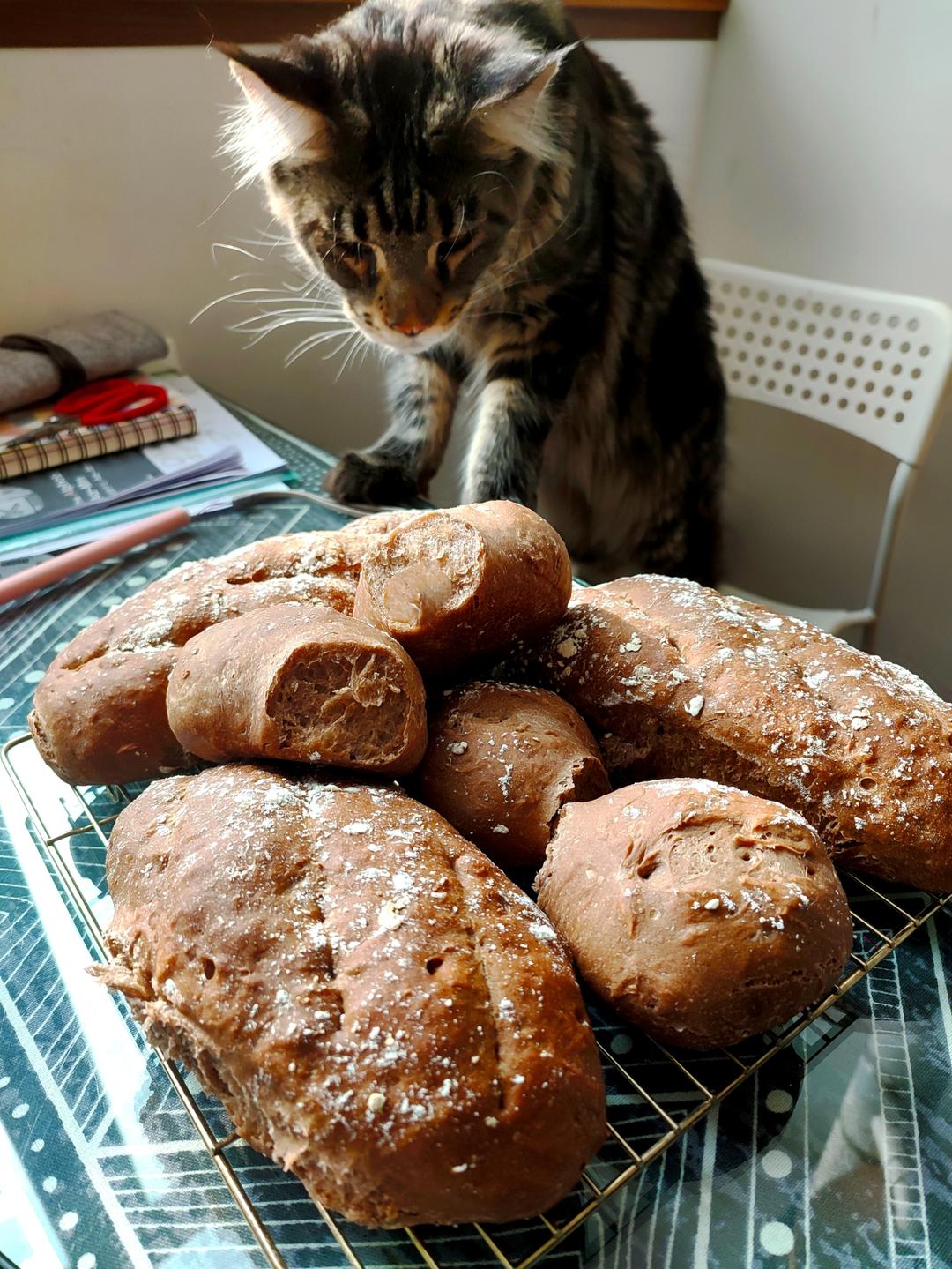 超快手·伪短法棍丨蜂蜜黑巧法式软欧包