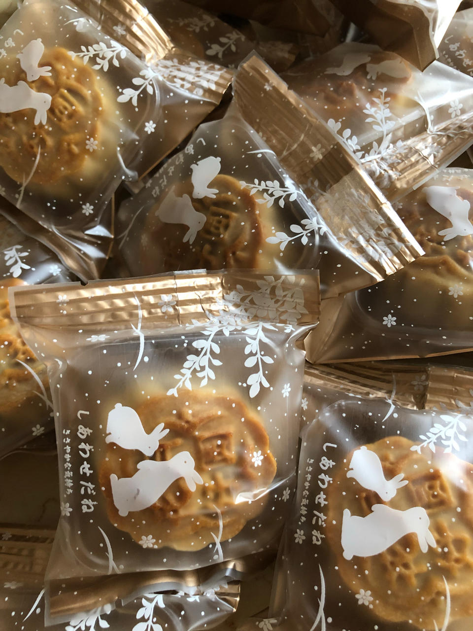 广式月饼—蛋黄莲蓉月饼