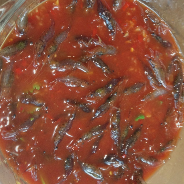 醉虾