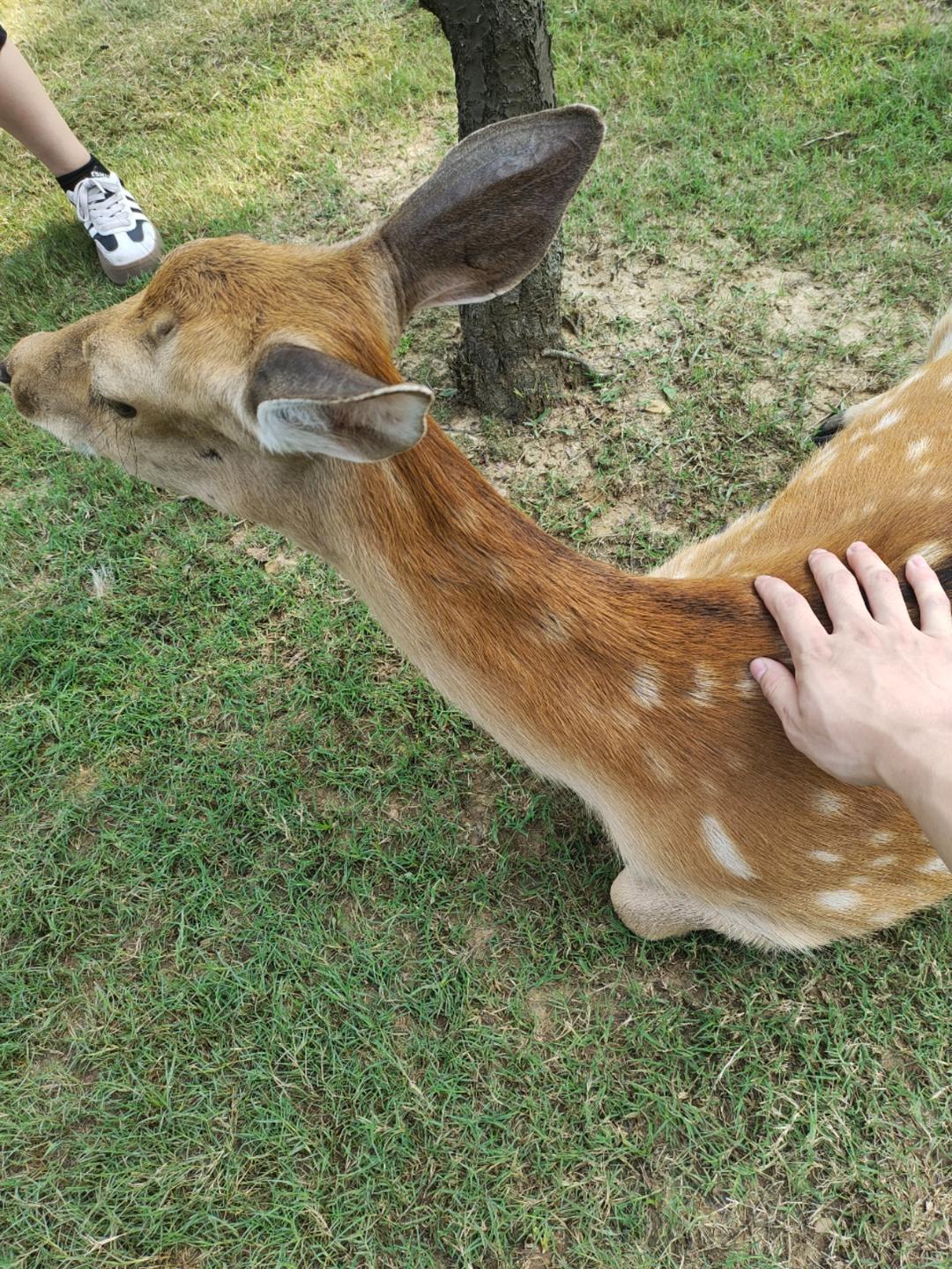 健康积极向上up