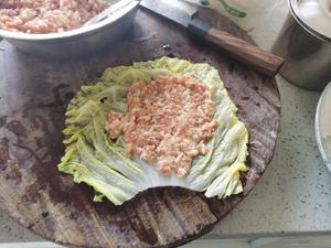 炖白菜肉卷的做法 步骤6