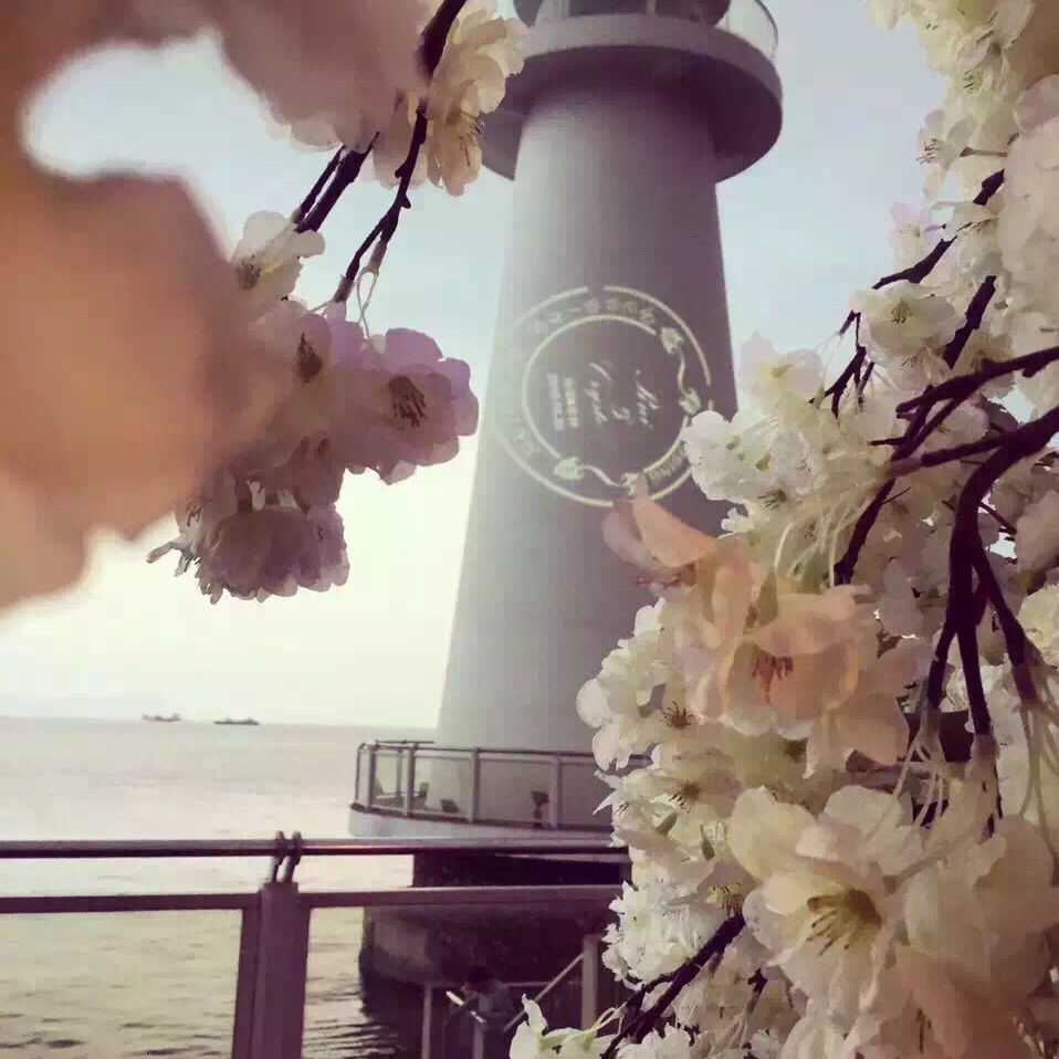 小萍的美好食光