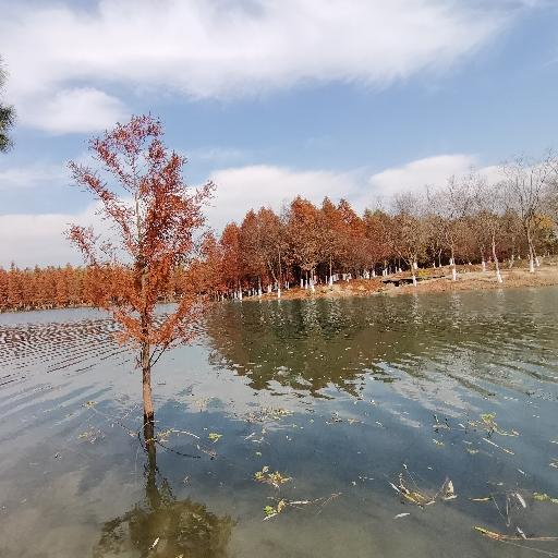 厨房小白徐