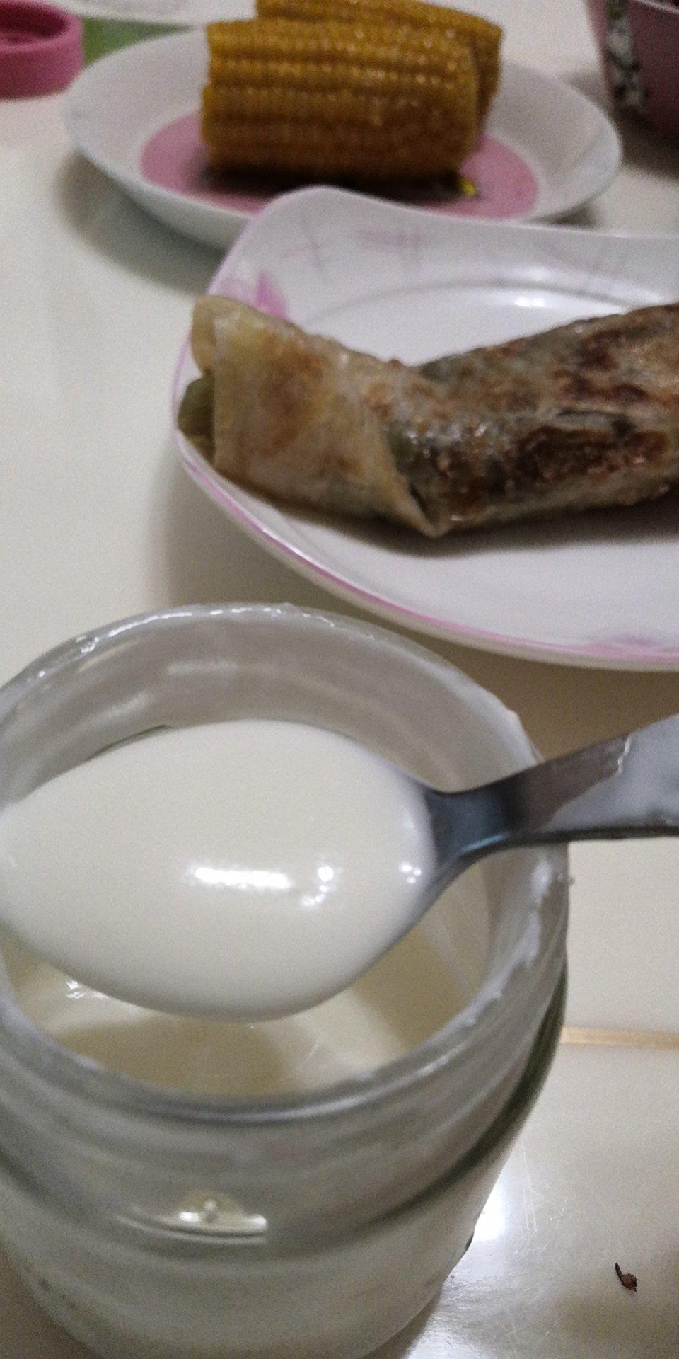 超级好吃的自制酸奶比例！——卡士酸奶在家做