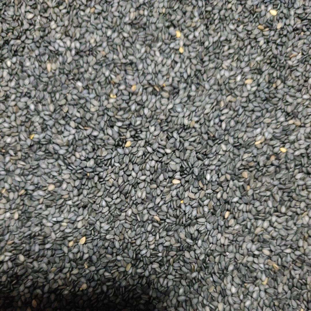 炒白芝麻黑芝麻（快手版）