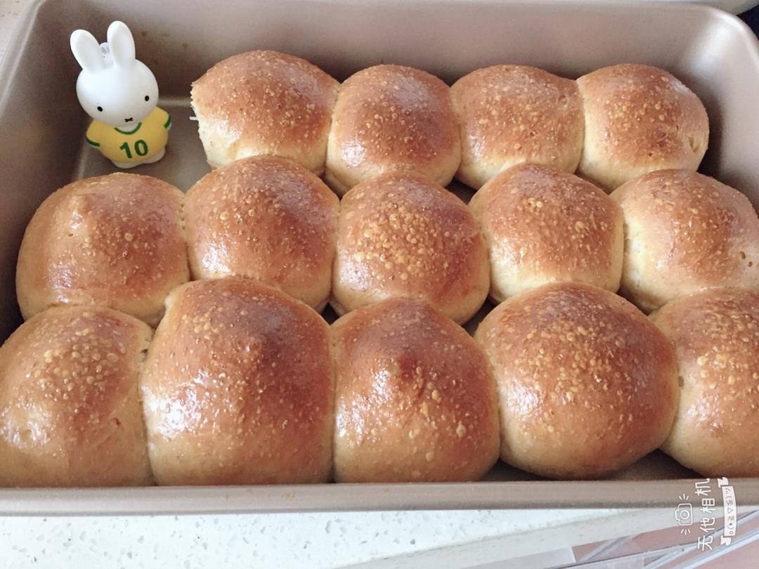 全麦咸味小餐包