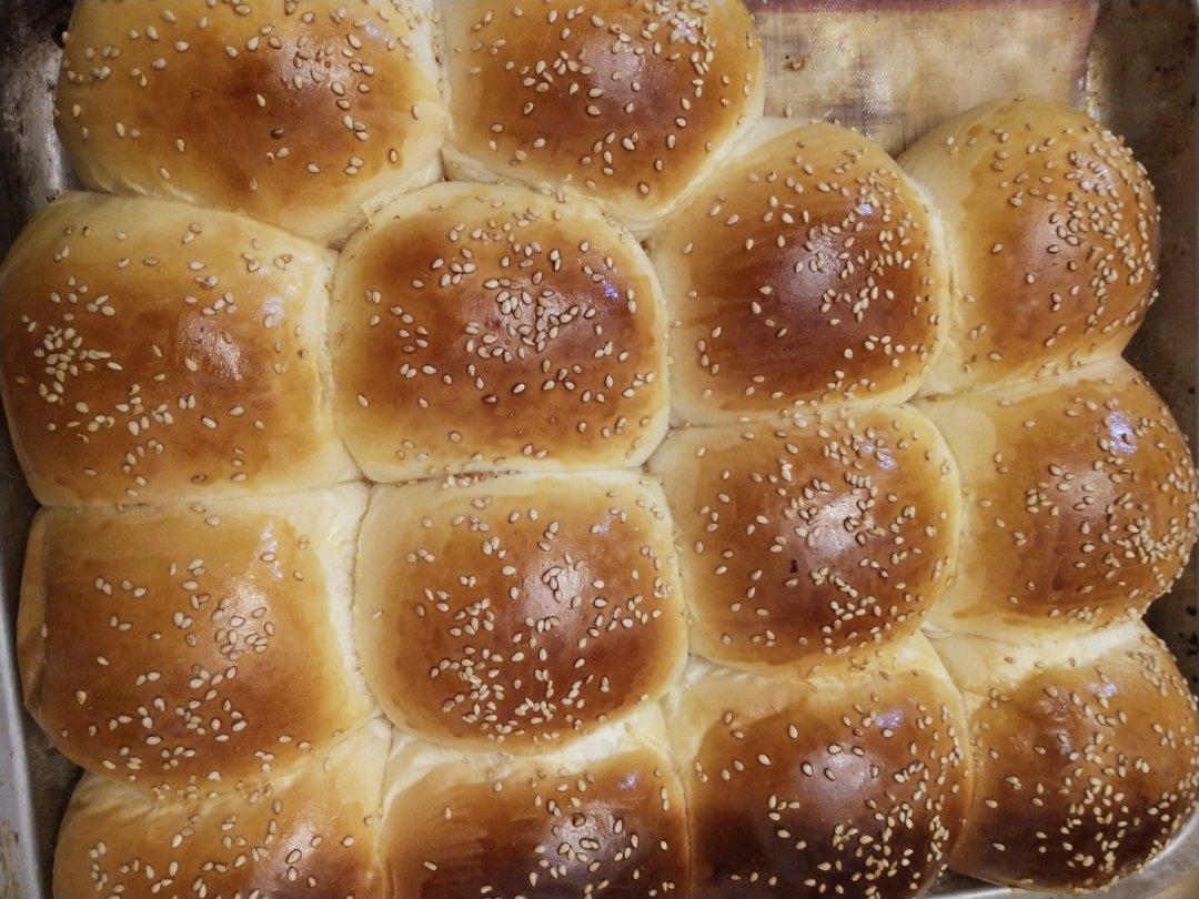 鲜奶油小餐包（一次发酵）