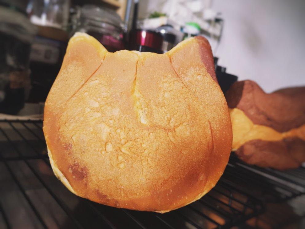 网红大猫猫头面包