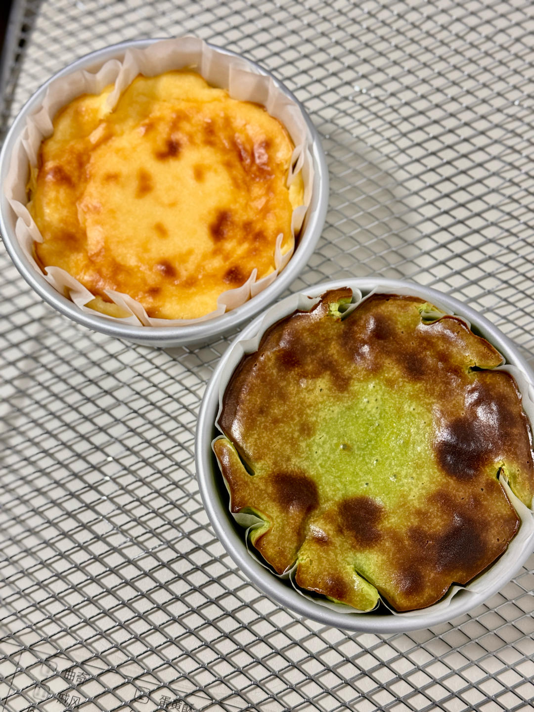 四寸巴斯克