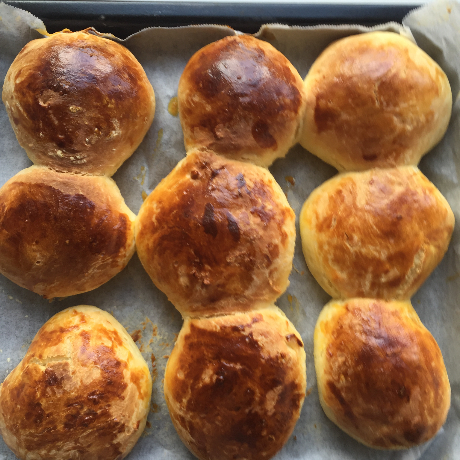 大人小孩都爱不释口的【蜂蜜牛奶小餐包】