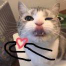 Feliz火火的厨房