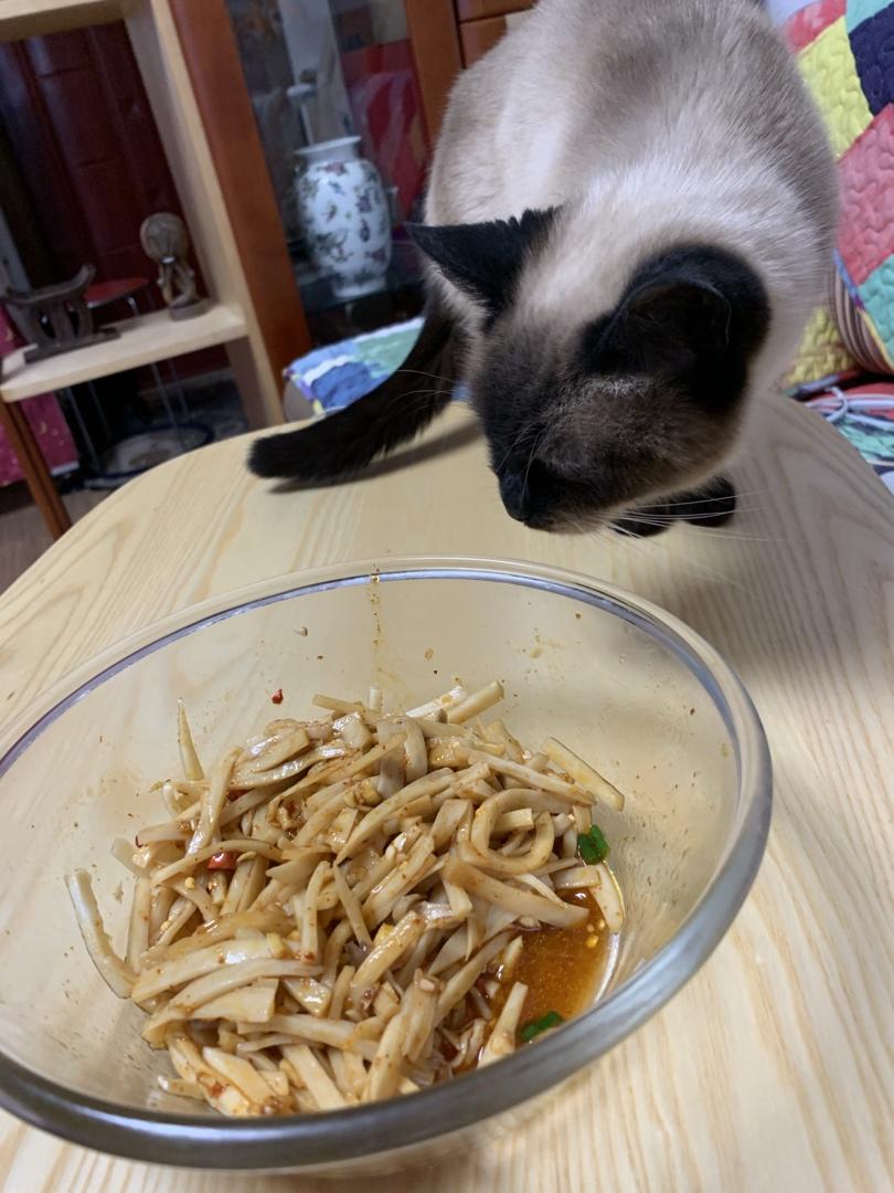 比吃肉还香的凉拌菜，酸辣杏鲍菇