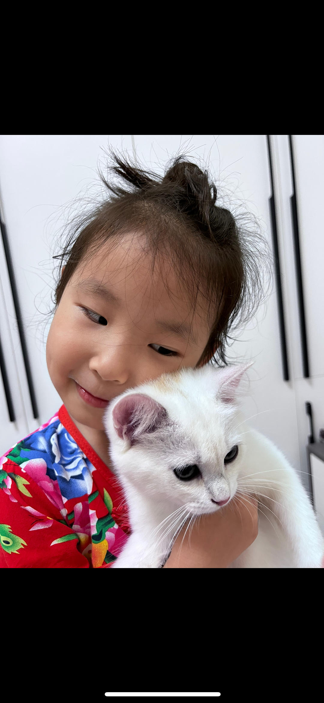两只猫和一个娃