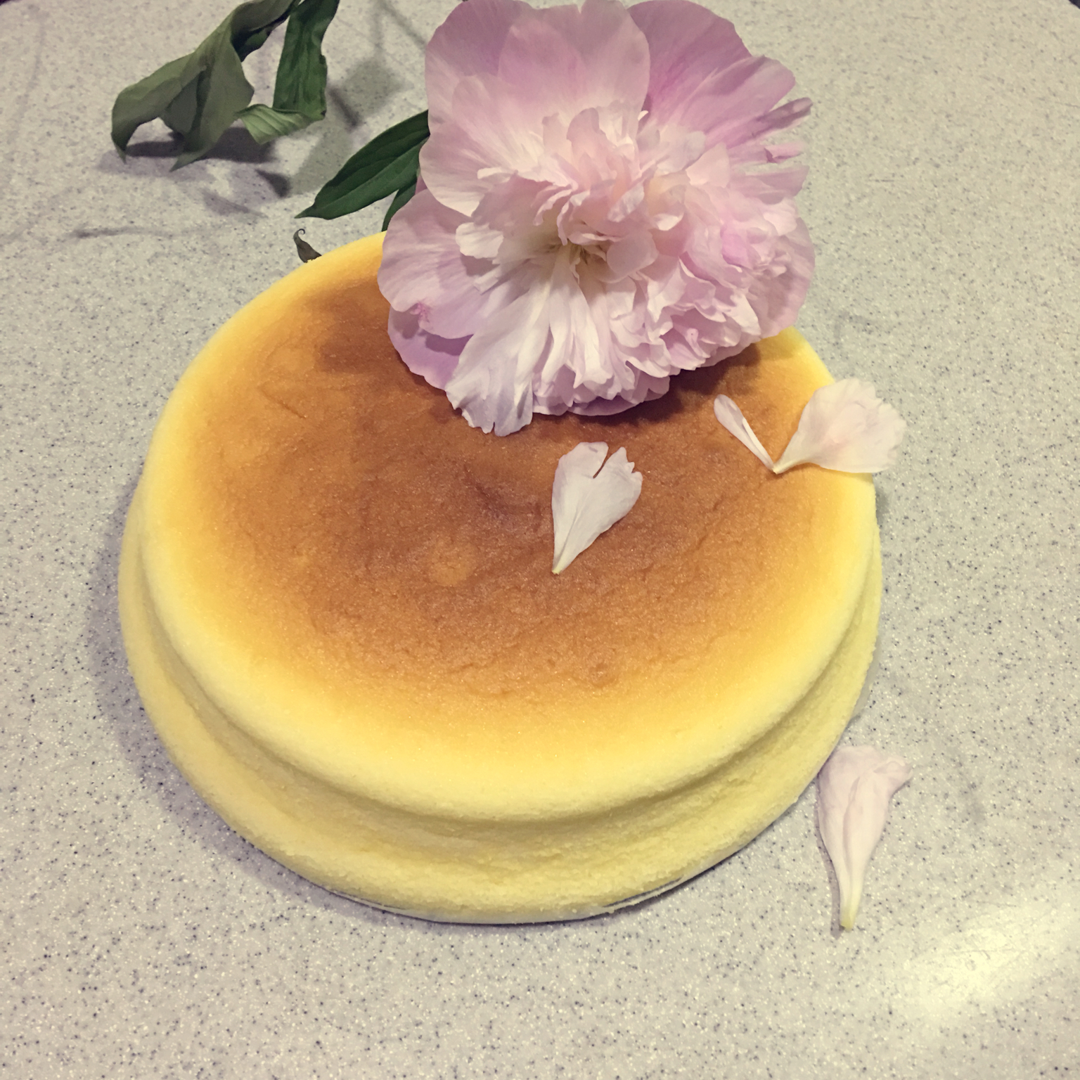 轻优格蛋糕