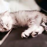 风翻江倒海的幻想