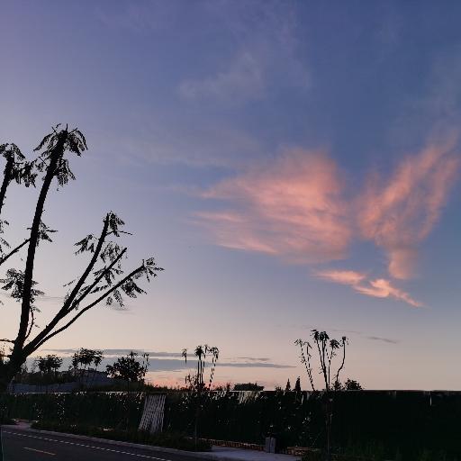 夜萤飞