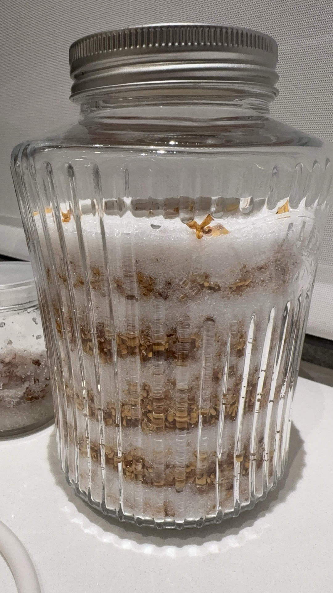 奶奶教我做的桂花蜜 满屋飘香 一次就成功了