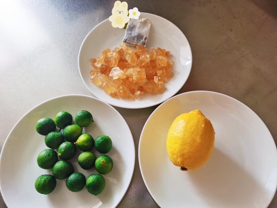 夏天的尾巴一手打柠檬茶的做法