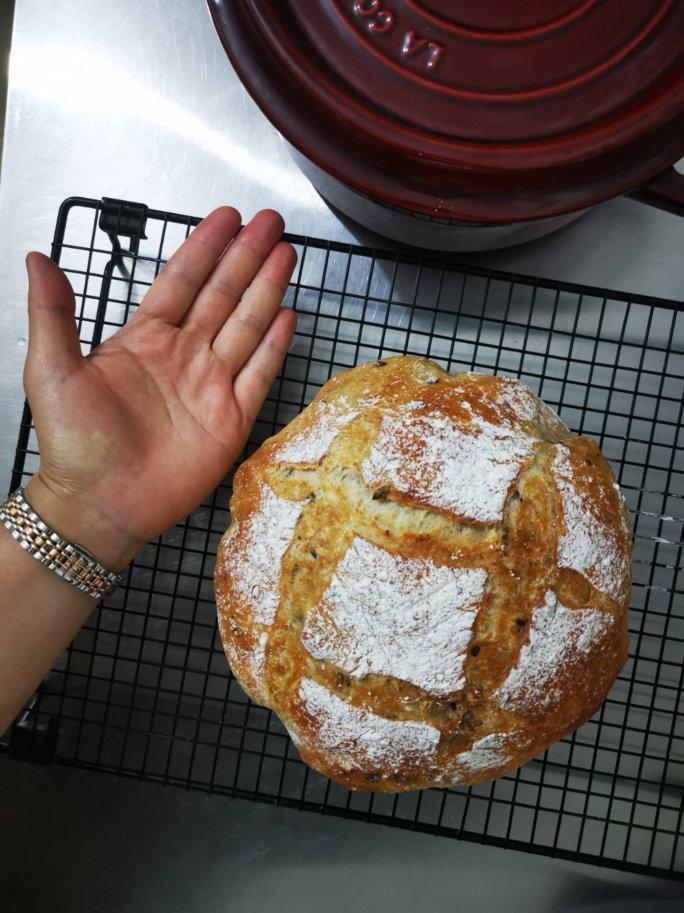 欧包的秘密（免揉/大孔洞/核桃/超简单）