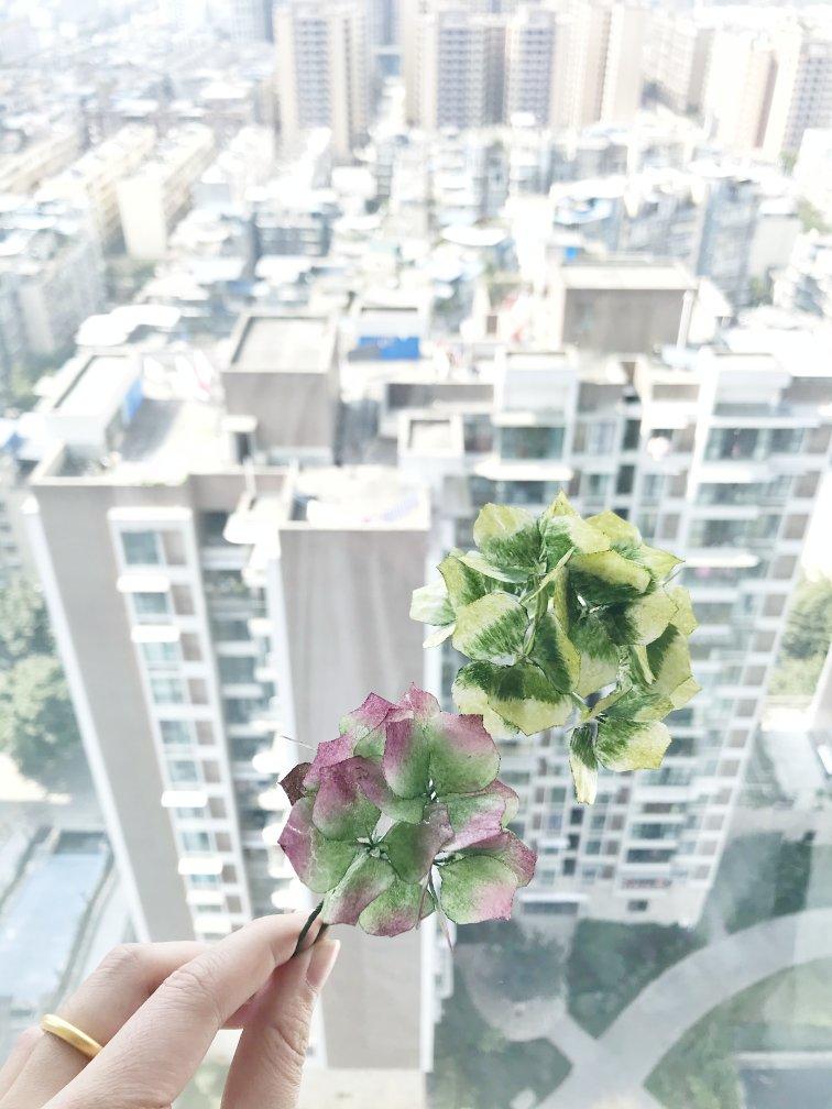 韩式裱花蛋糕