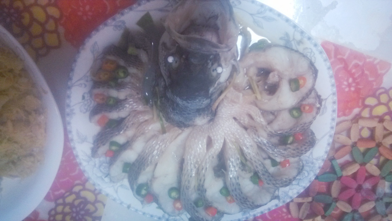 孔雀开屏鱼