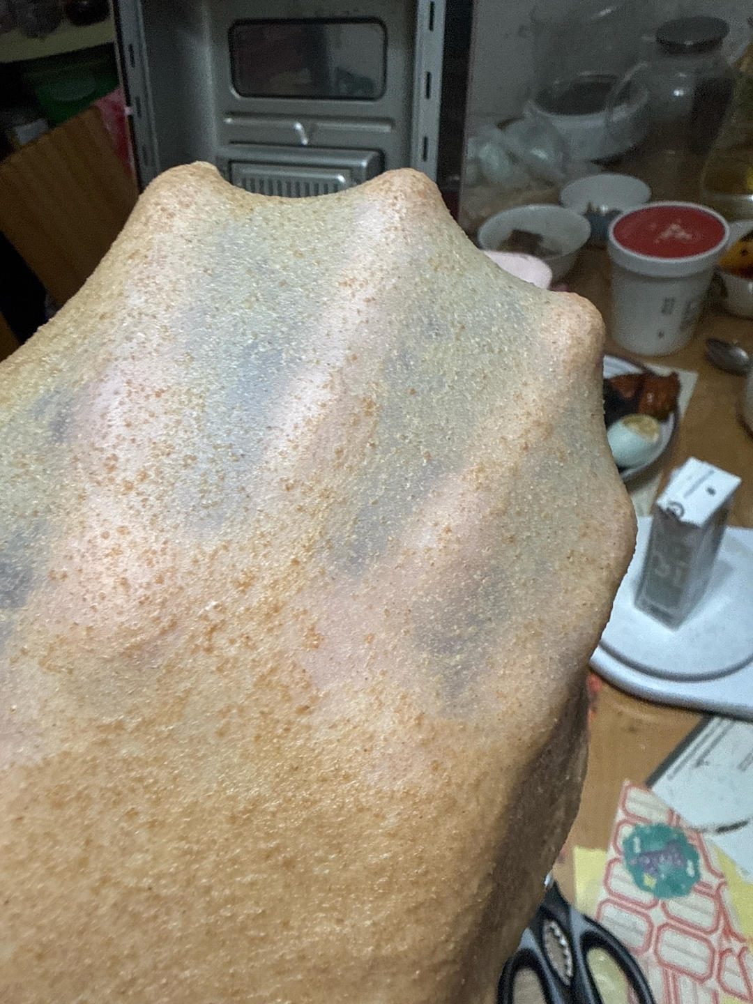 100%真•全麦吐司