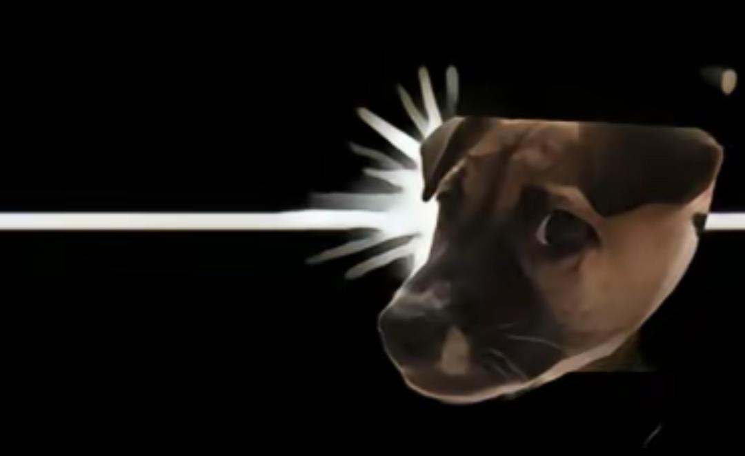 蒜头炒肉➕花菜